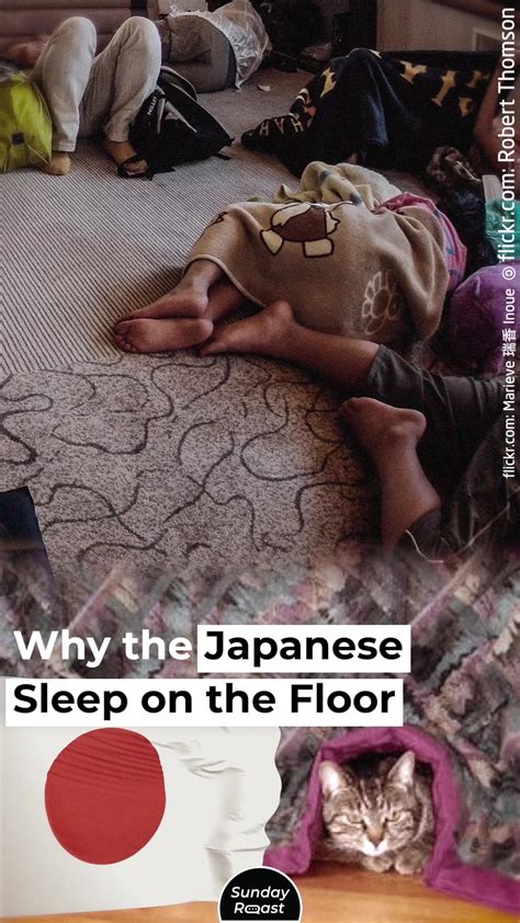 Japanesesleep Porn Videos 